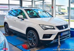Seat Ateca - 2.0 TDI 16V - 140kW (190k) a 400Nm