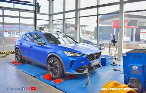 Cupra Formentor (1) 2.0 TSI 228kW 16V 2020+