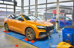 Audi Q8 50TDI - 3.0 Turbo 24V - 210kW (286k) a 600Nm